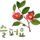 컴퓨레이터 이미지