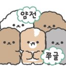팡뜨랑