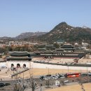광화문 카페 대한민국역사박물관 카페 운영시간