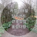 꼬모펜시문구 | 4일차, 비오는날의카멜리아힐, 용눈이 오름, 풍림다방, 달리센트, 산호상점, 허벅식당 후기, 제주여행경비