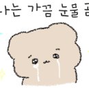 코코이찌방야반포고속버스 이미지