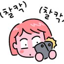 원주속눈썹무드비