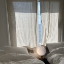 사색사계 이미지