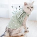 큐티애견 쇼핑하우