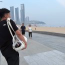 아투스 | 강아지 기내용 이동가방 아투스모멍트 프루프루백 실사용 후기