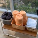 스테이위드독 이미지