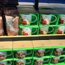 TREVI COFFEE | 신혼여행 4) 로마 테르미니역 스타벅스 + 트레비분수 젤라또 맛집 melograno + 베네치아광장 피자맛집...