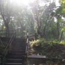 하늘재길 이미지