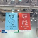 1 | 2026 케이펫페어 부산 시즌1 방문후기 규모가 큰편