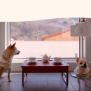 내포리,머뭄 이미지