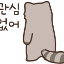 분당-384 이미지