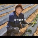 김원섭농장 이미지