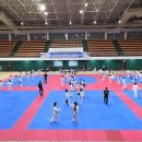 꿈나무태권도 이미지