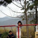 마야김밥 이미지