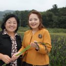 농업회사법인강이 이미지