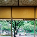 주식회사 한국대나무 이미지