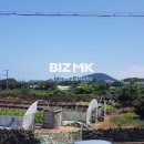 해드림공인중개사사무소 이미지