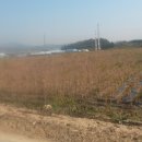 검바우농장 이미지