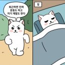 상록수역앞 이미지