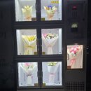 24시꽃 이미지