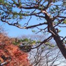 박경숙헤어 네이버블로그