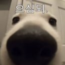 옷파는언니 | [익산/웨스턴라이프 호텔] 본식 후기 (계약, 견적, 시식, 사전 및 D-Day 준비물)