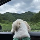 영풍이용원 네이버블로그