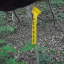 중말3교 이미지