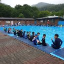 JTA 합기도 & MMA 이미지