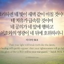 오늘의 '영어성경 사진'(794강) “참된 금식의 축복”(이사야 58장 8절) 이미지
