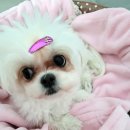 산성우1리 이미지