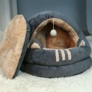 러브펫하우스 이미지