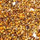 제8회 하동섬진강문화재첩축제 이미지