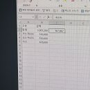 스테이인강릉