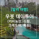 리나농장 | 발리 여행 - 우붓 원데이 투어 완벽 코스 (커피농장/알라스하룸/크레트야/폭포)