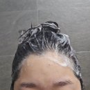 플러스헤어 | 약산성 판테놀샴푸 입소문템 진생화헤어플러스 사용후기