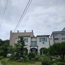 조종새싹로 | 가평맛집 깔로께리:: 그리스 여행온기분!! 독특한 경험