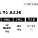 SD 복싱짐 이미지