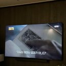 설레는 서울 소 데이트