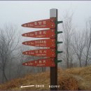 상장1리 이미지