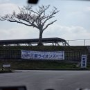 승진이네 | [근황] 2월 돌아보기 : 과장 승진 / 임신후기 돌입 / 임장을 떠나요 / 오키나와 태교여행 등