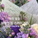 원주꽃집하늘정원