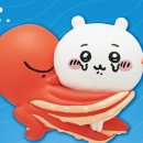 부천회식당 | 부천상동 횟집 가바라 : 코스요리전문 부천 룸식당 &#39;바코스&#39; 후기