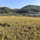 청결농장 | 🌿 부여서울농장 ‘물오름달(단층)’ 숙박 후기