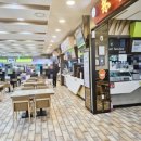 펫팸푸드 이미지