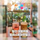 카페포레스트 이미지