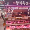 양지축산 이미지