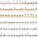 아쉬탕가 빈야사 요가 B 이미지