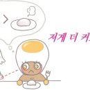 초원잔디 이미지