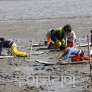 고창 수산물 축제